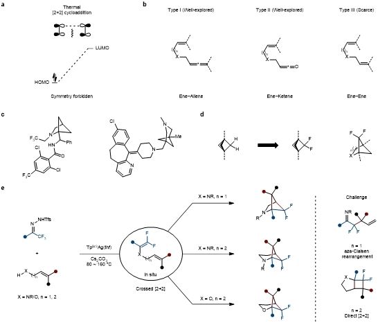 院毕锡和教授团队在卡宾化学领域取得研究新进展